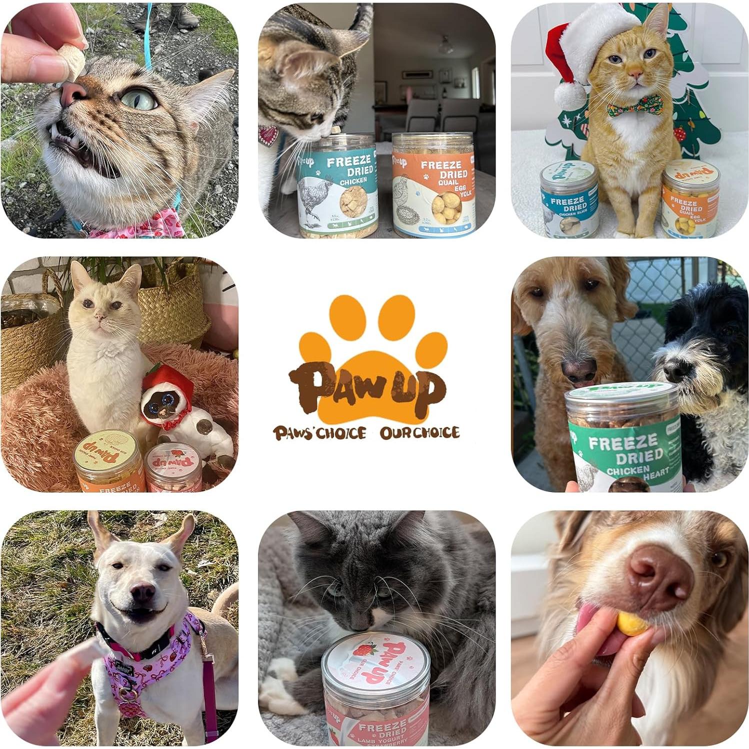 Galletas Deshidratadas para Mascotas PAWUP Yema de Huevo 260g