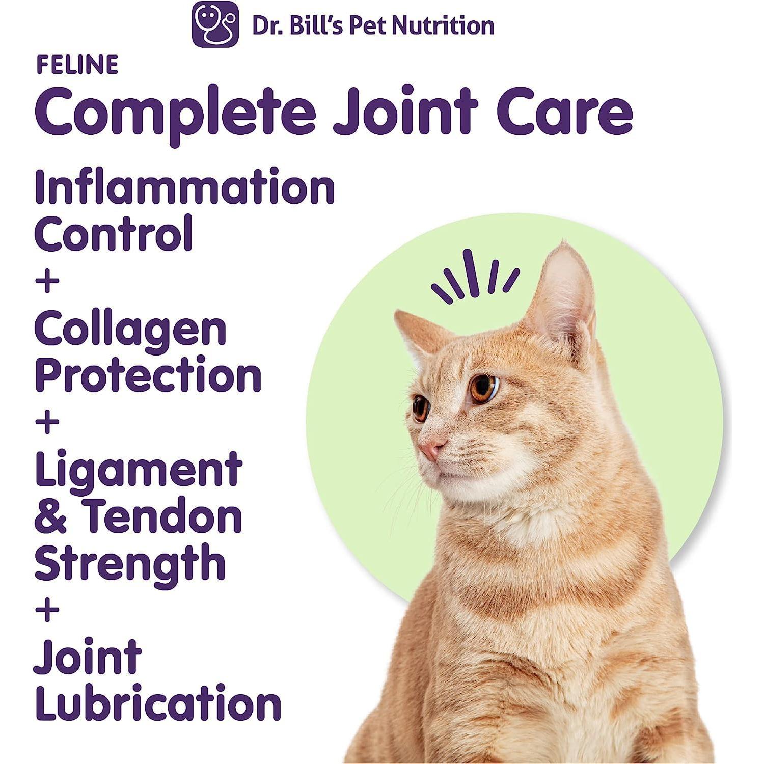 Suplemento Articulaciones Gatos Dr. Bill 85g - Cuidado Completo