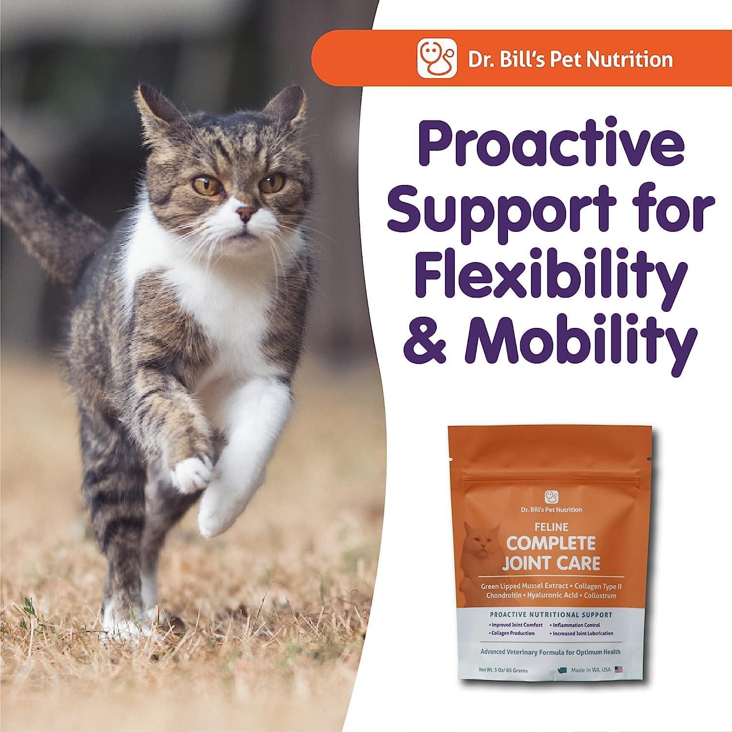 Suplemento Articulaciones Gatos Dr. Bill 85g - Cuidado Completo