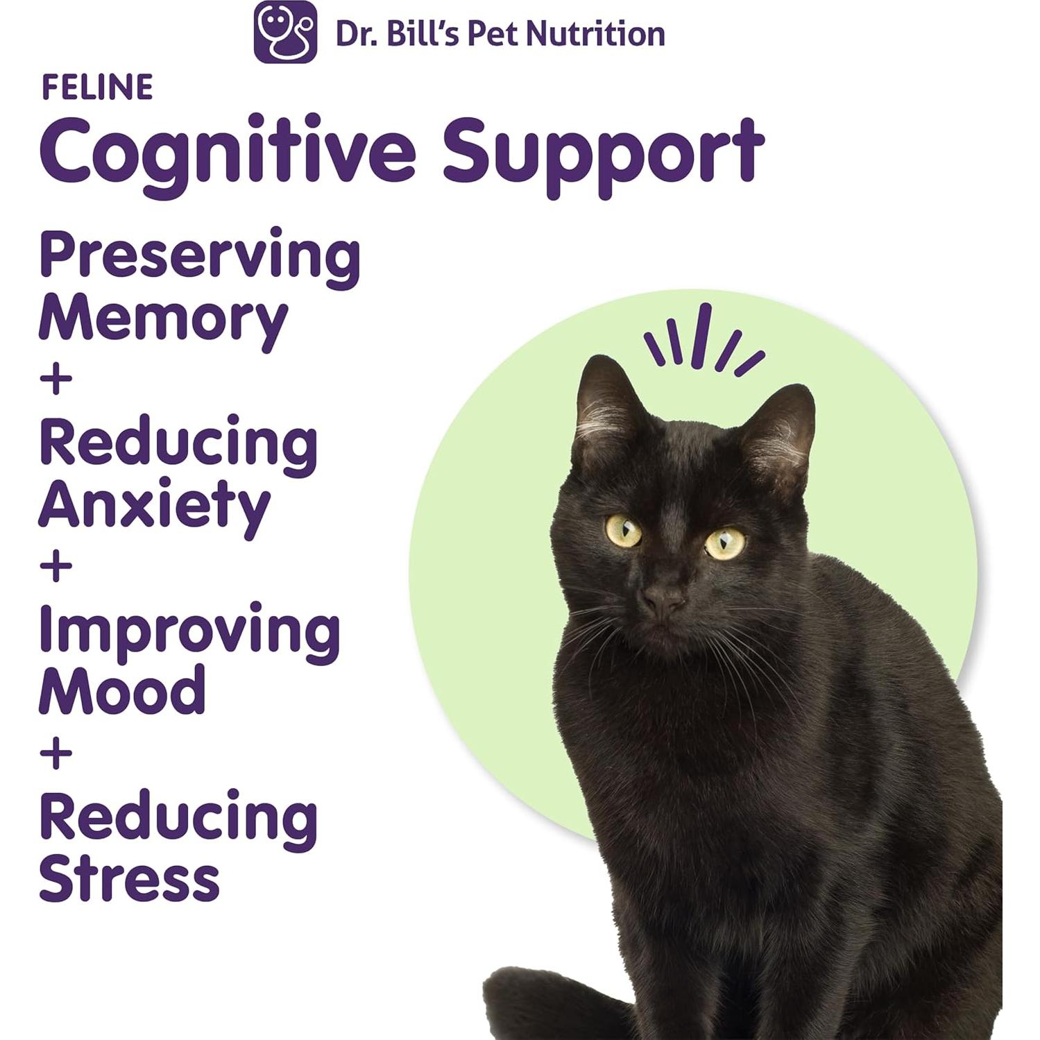 Suplemento Cognitivo para Gatos Dr. Bill 60g Ginkgo Biloba