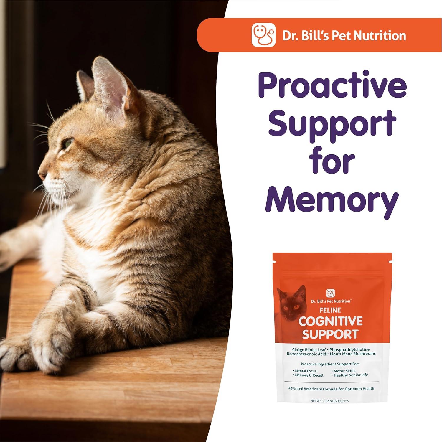 Suplemento Cognitivo para Gatos Dr. Bill 60g Ginkgo Biloba