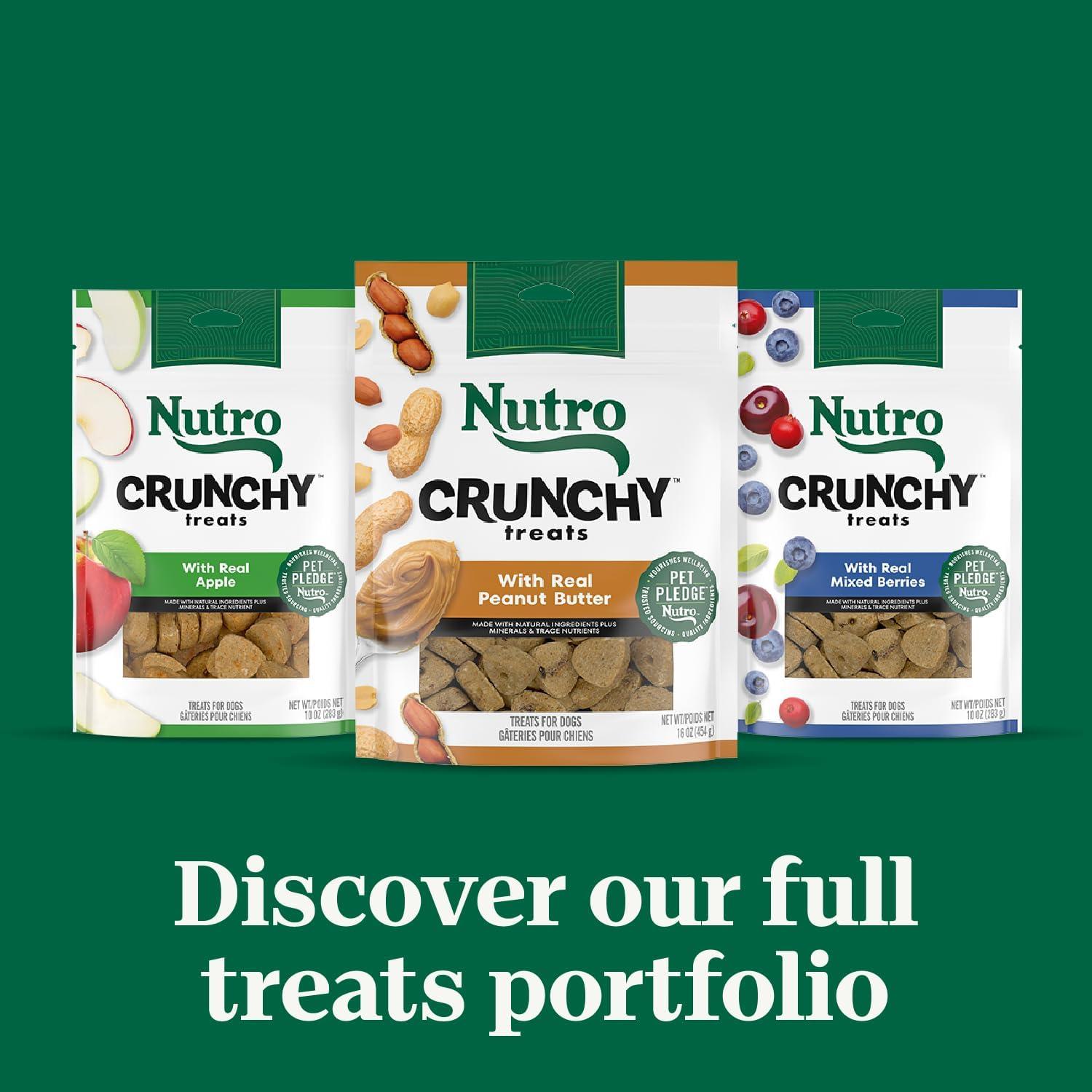 Golosinas para Perros Nutro Crunchy Berries Mixtas 453 g