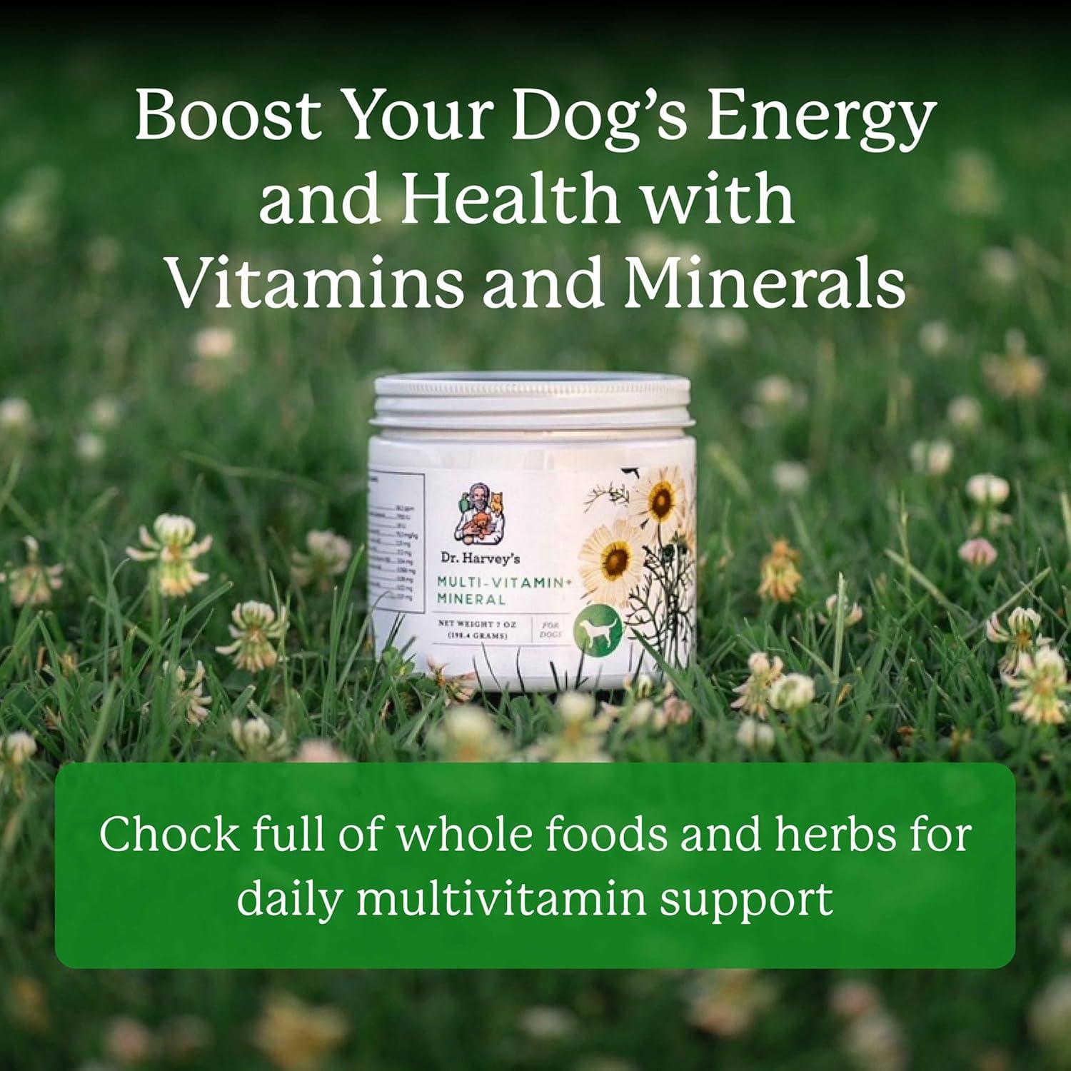 Suplemento Multivitamínico Natural para Perros 198g