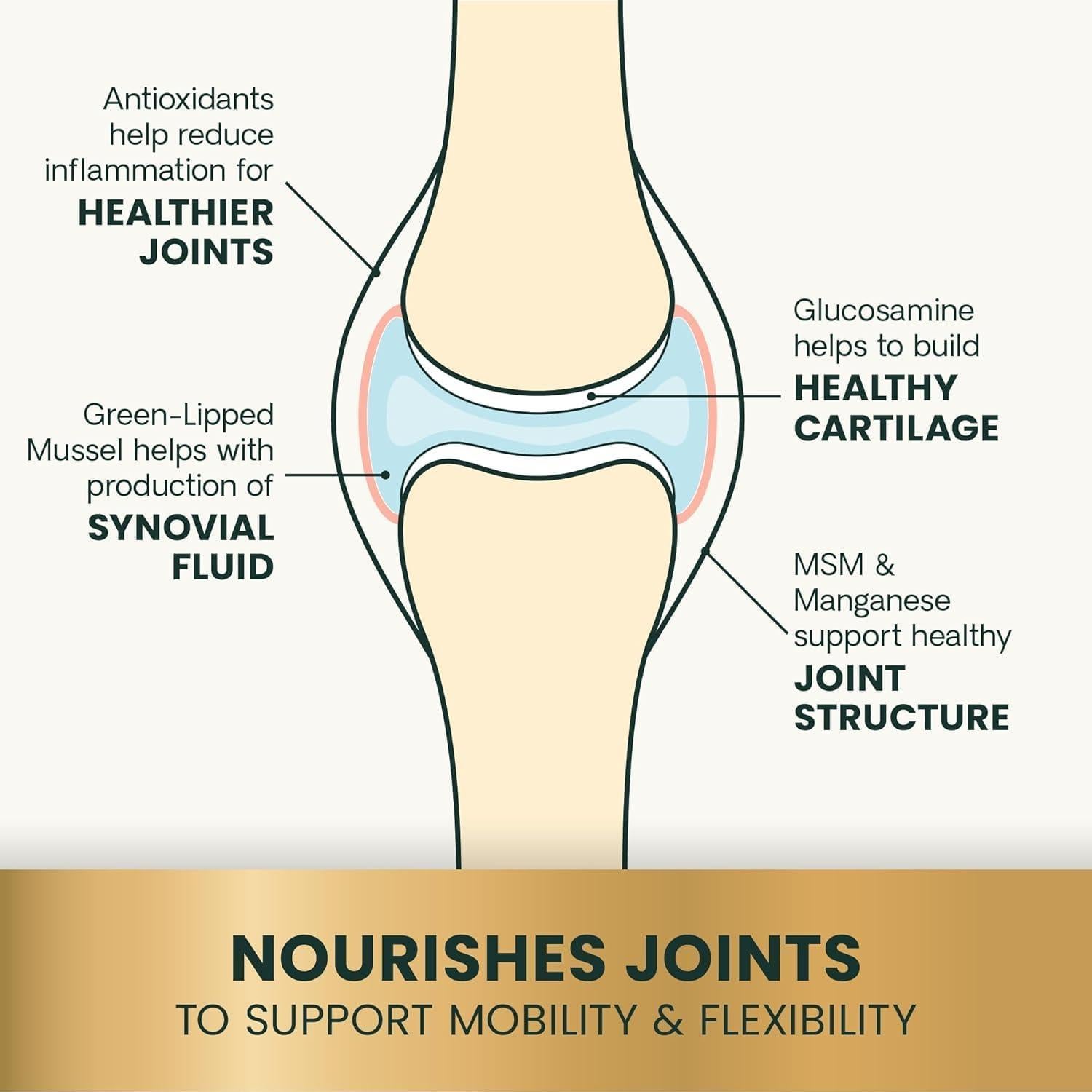 Suplemento Masticable VetriScience Articulaciones 120 Unidades