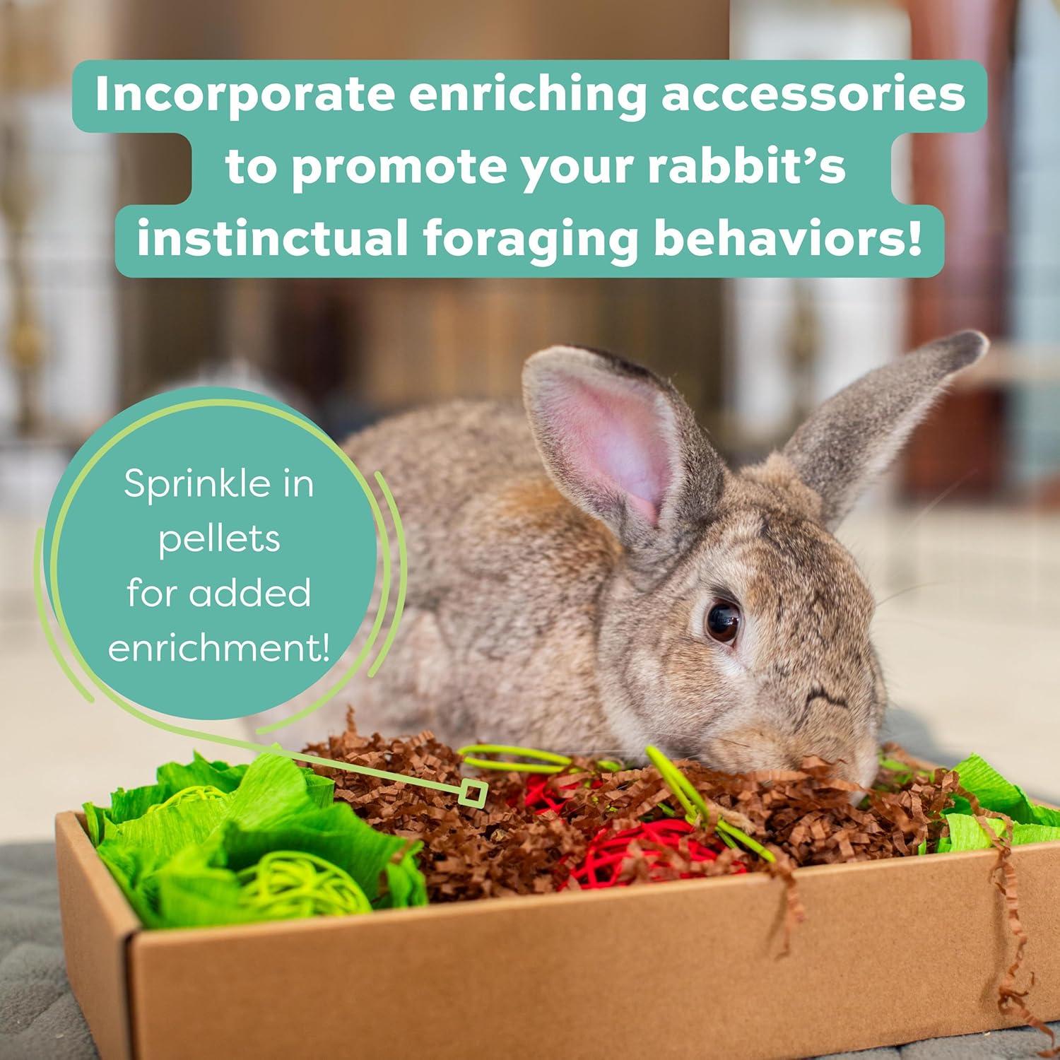 Comida para Conejos Adultos Oxbow 5 lbs Heno Timothy