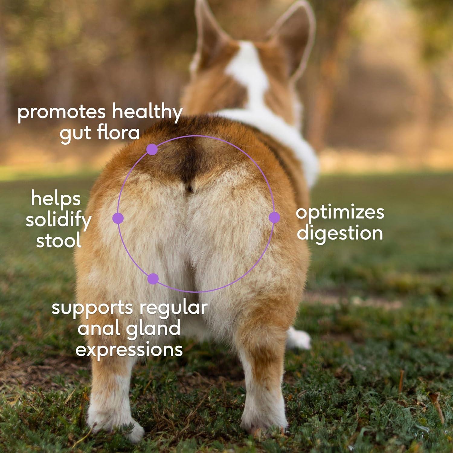 Suplemento Digestivo para Perros Native Pet WonderGland 60 porciones