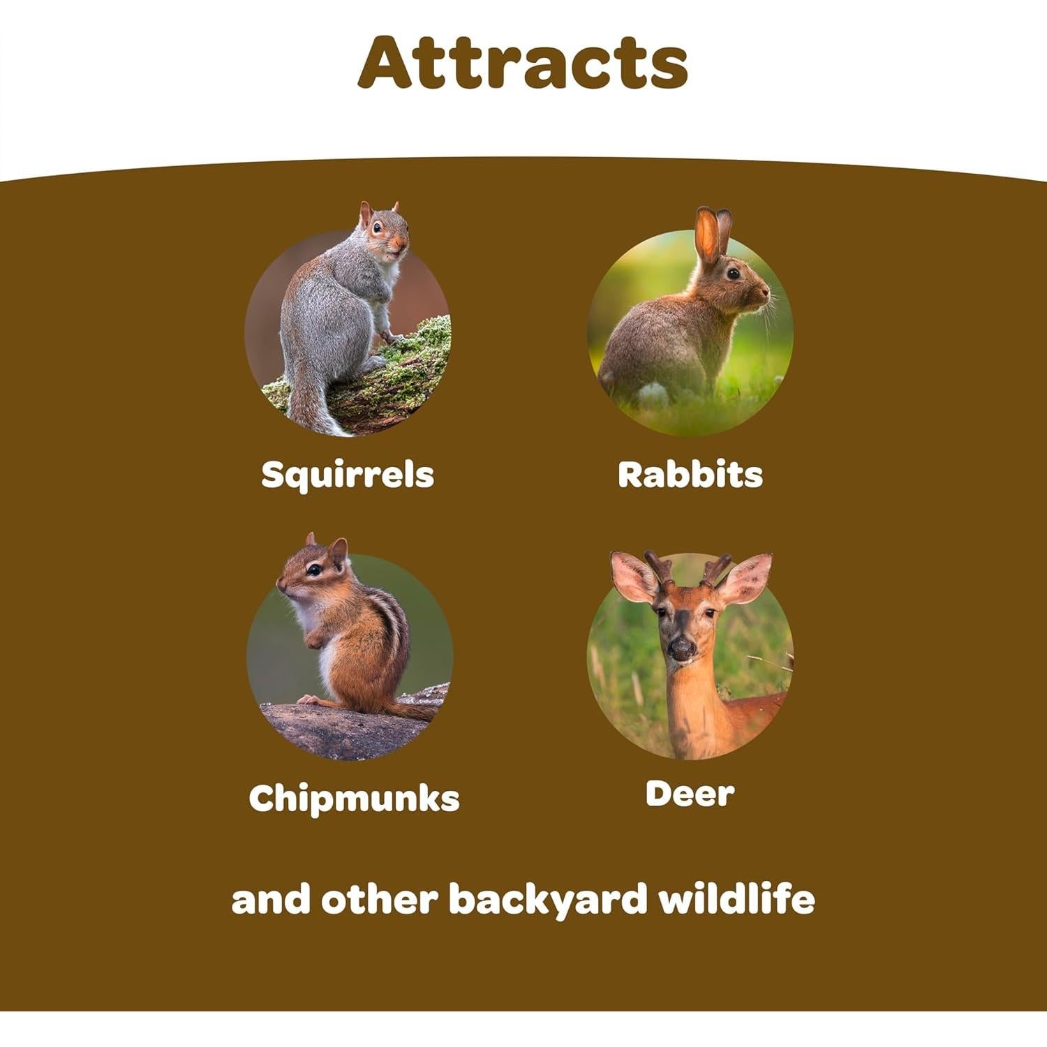 Mezcla de Alimentos para Vida Silvestre Kaytee 2,27 kg