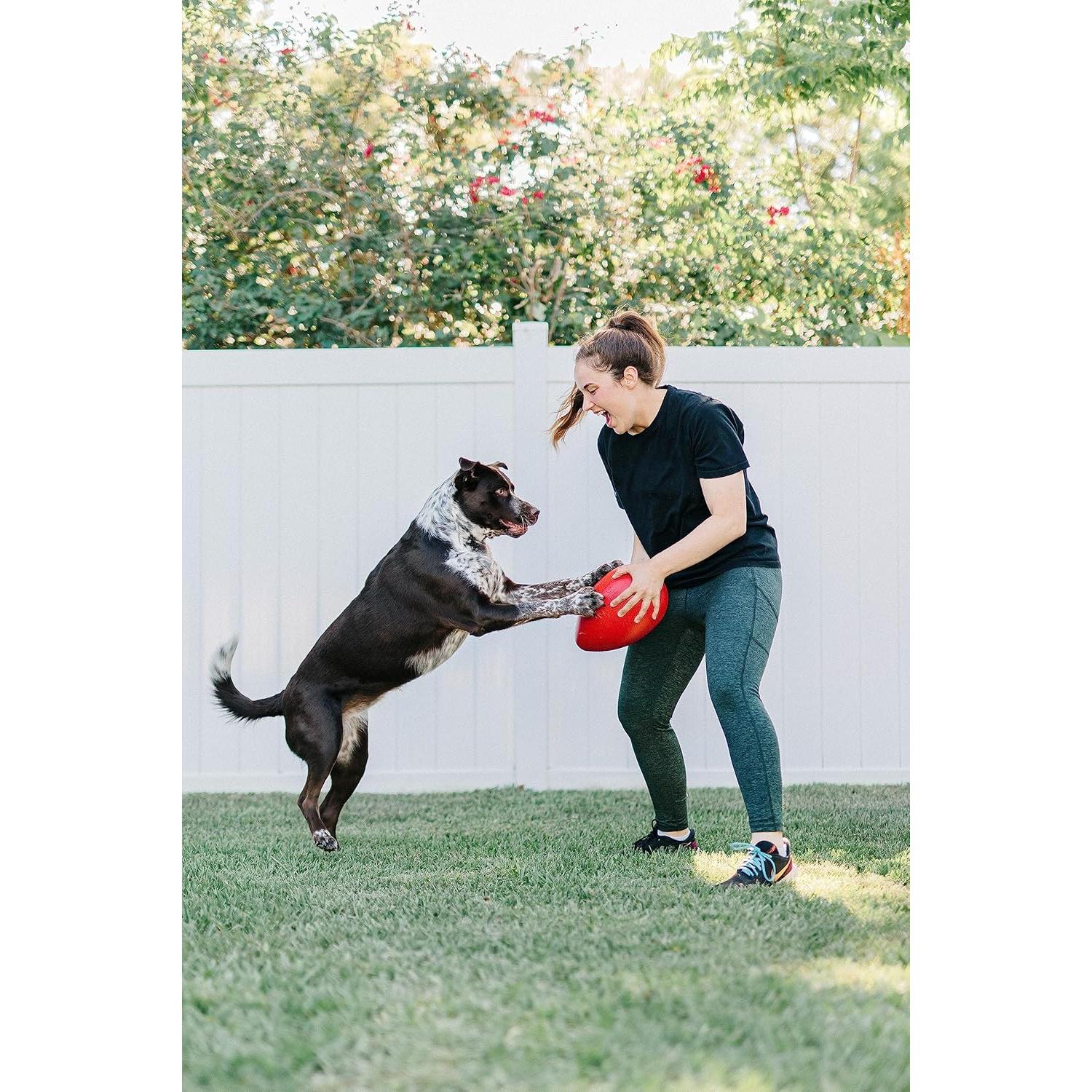 Juguete para Perros Jolly Egg Jolly Pets Mediano Rojo 20 cm