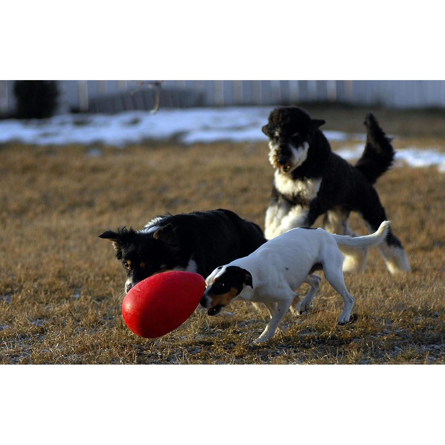 Juguete para Perros Jolly Egg Jolly Pets Mediano Rojo 20 cm