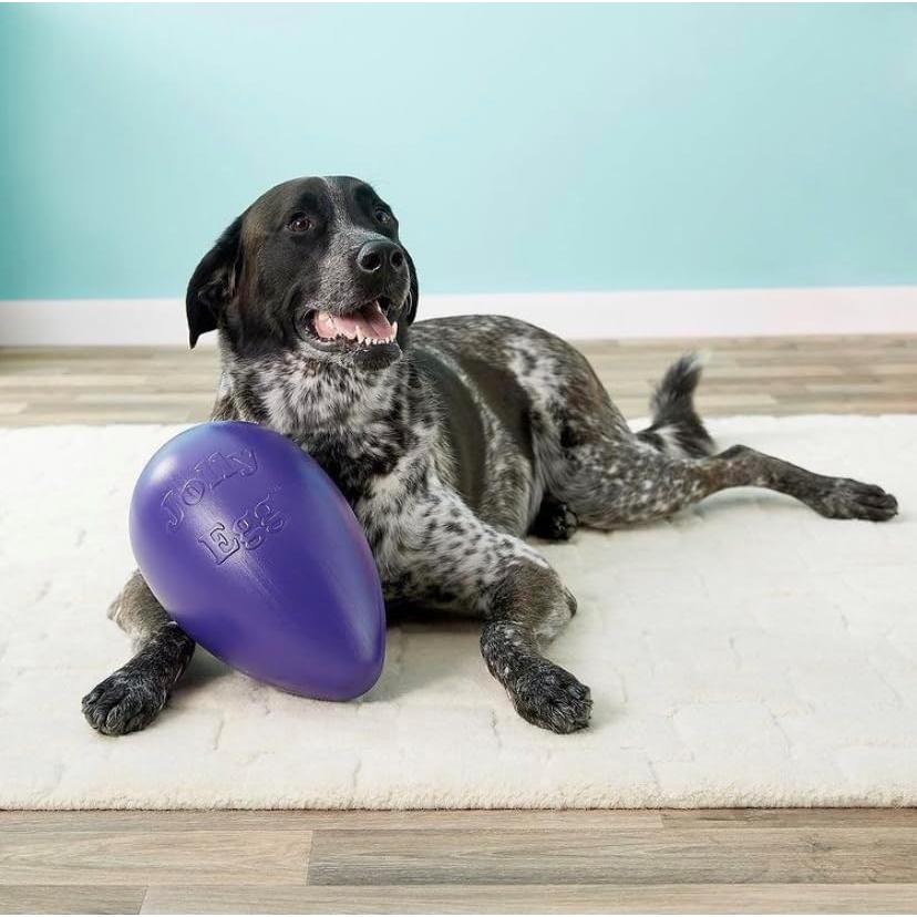 Juguete para Perros Jolly Egg Jolly Pets Mediano Rojo 20 cm