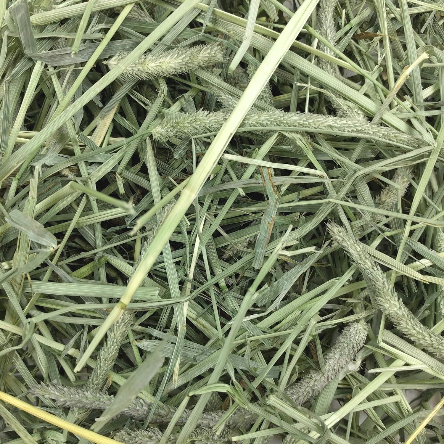 Heno Timothy Natural Oxbow 1,13 kg para Conejos y Cobayas