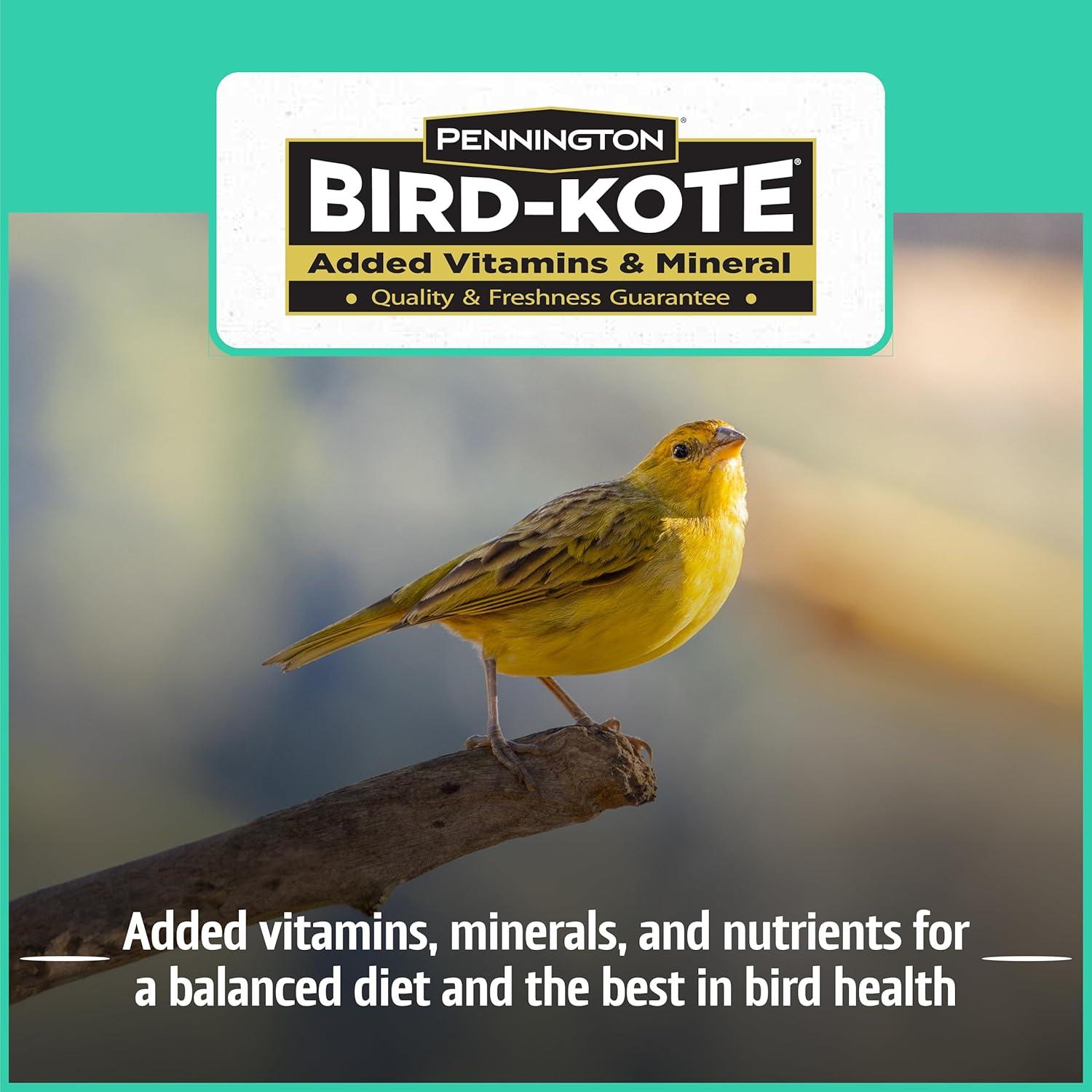 Mezcla de Sémola de Jilguero Pennington 4,54 kg para Aves
