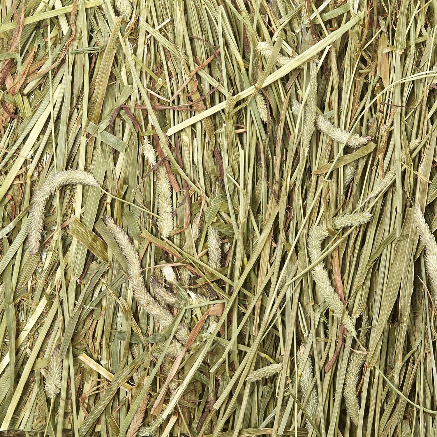 Heno de Timothy Kaytee 100% Natural 1.70 kg para Mascotas