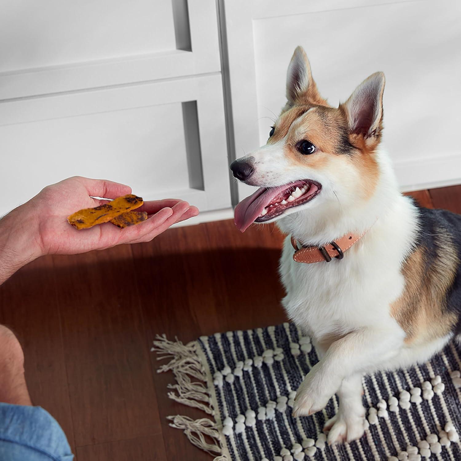 Bocaditos para Perros Rachael Ray Nutrish Pavo 340 g