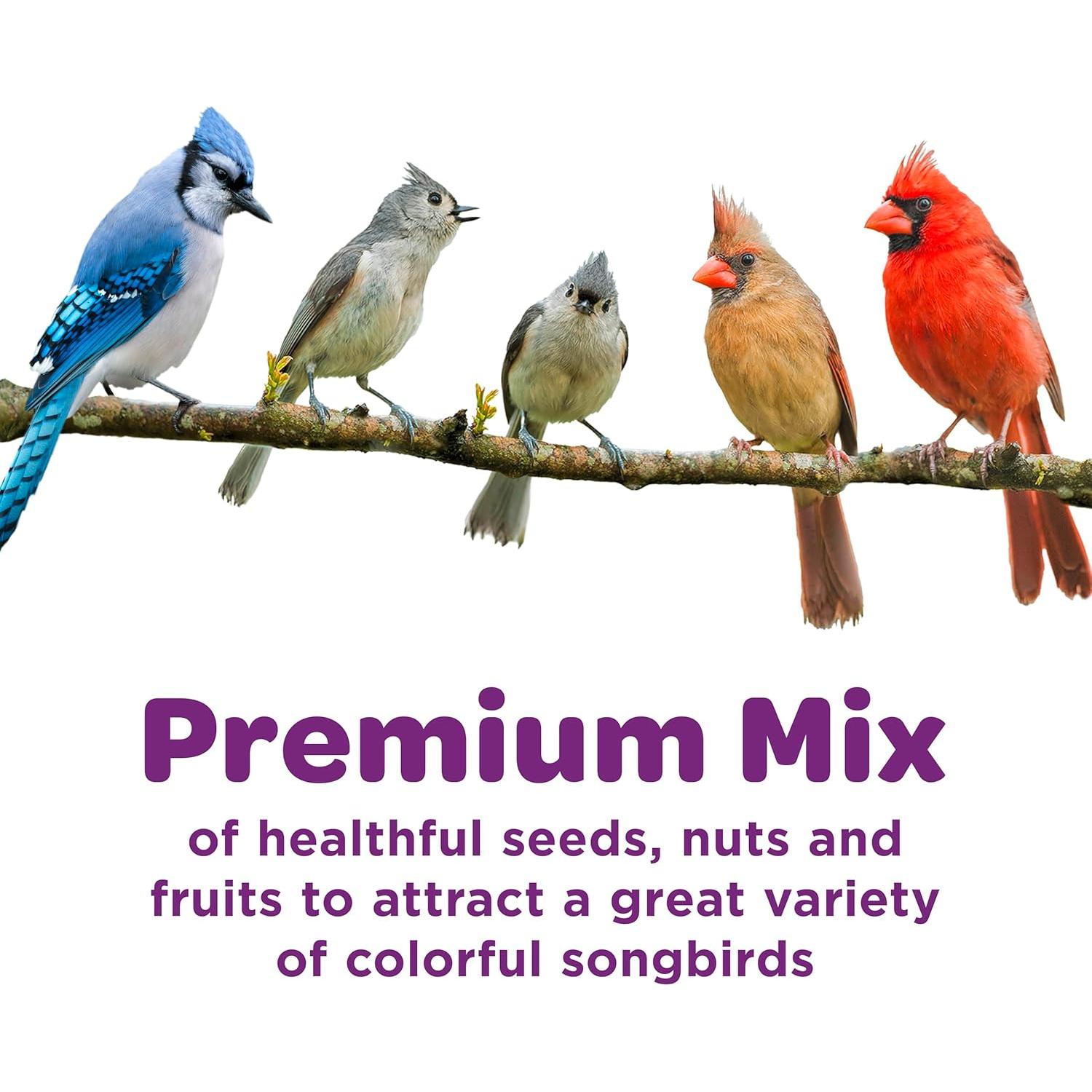 Kaytee Mezcla de Nueces y Frutas para Aves Silvestres 2,27 kg