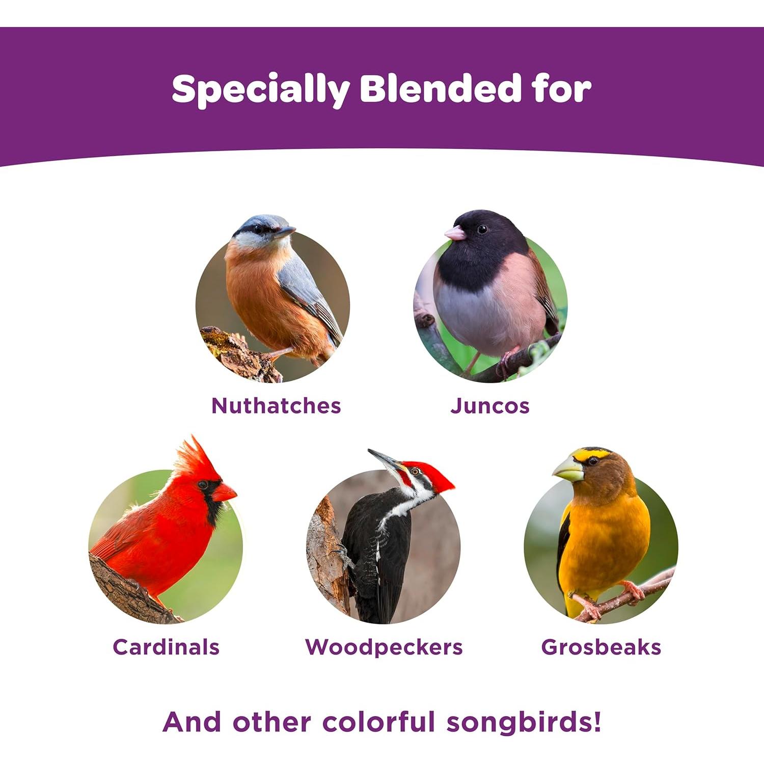 Kaytee Mezcla de Nueces y Frutas para Aves Silvestres 2,27 kg