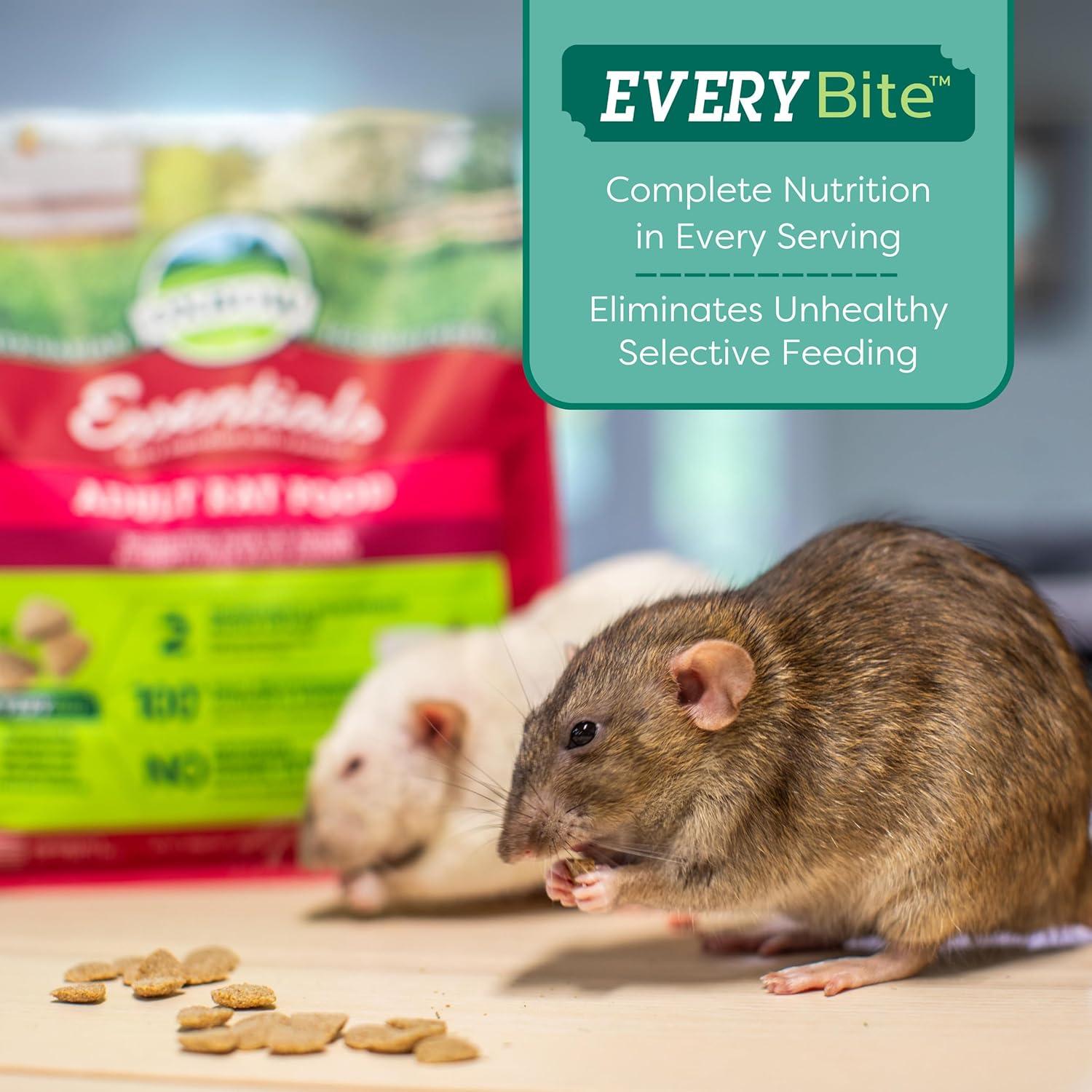 Comida para Ratas Adultas Oxbow Essentials 1,36 kg - Natural