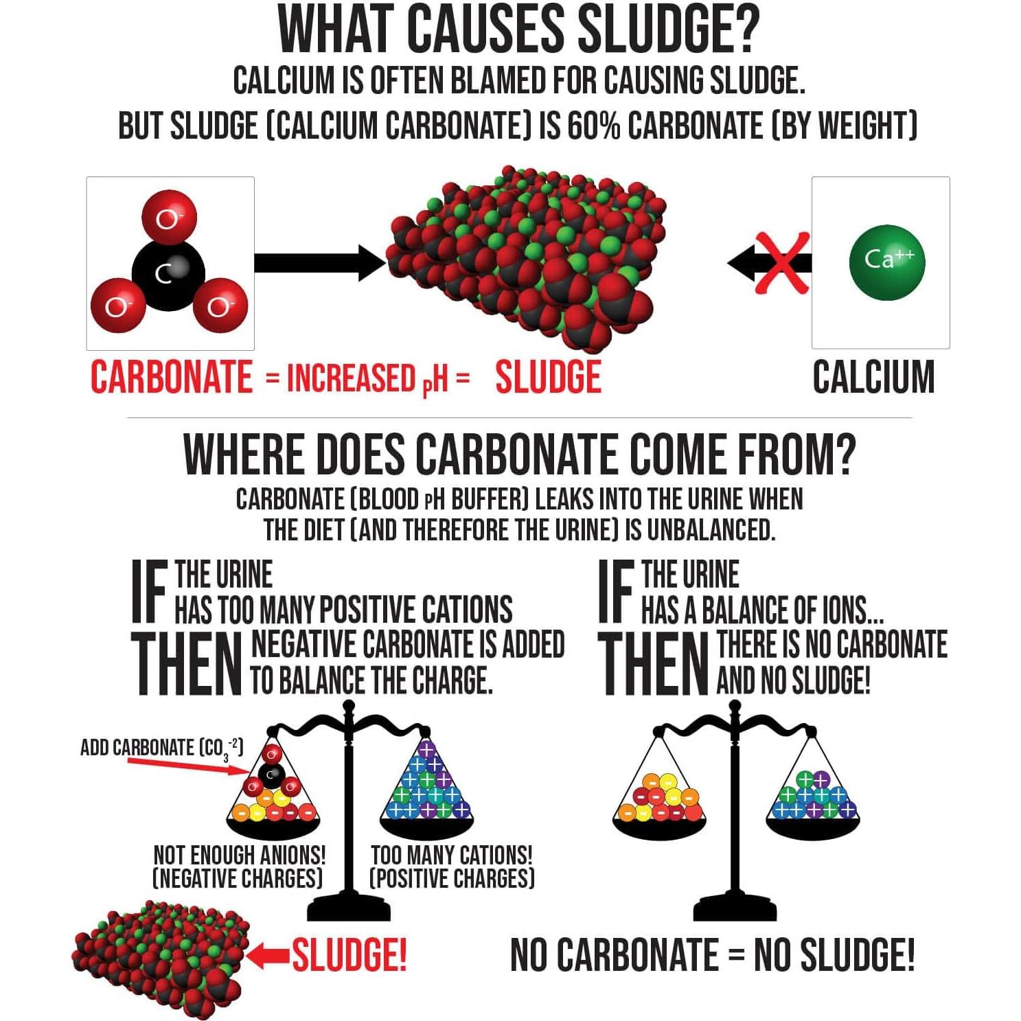 Soporte Urinario Sherwood Pet Health 100 Tabletas 60g