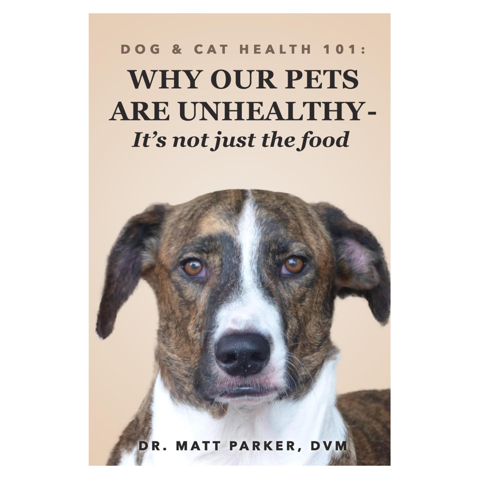 Dog & Cat Health 101: Why Our Pets Are Unhealthy (It's Not Just the Food...)