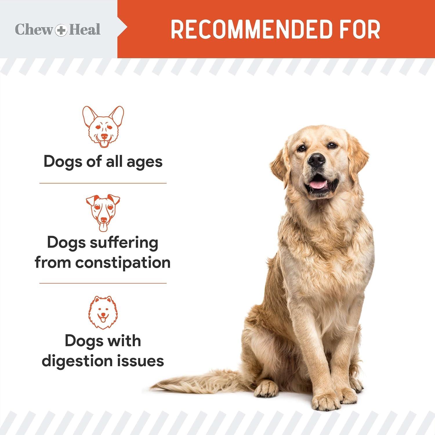 Polvo de Calabaza Orgánica Chew + Heal 113 g - Digestión Perros