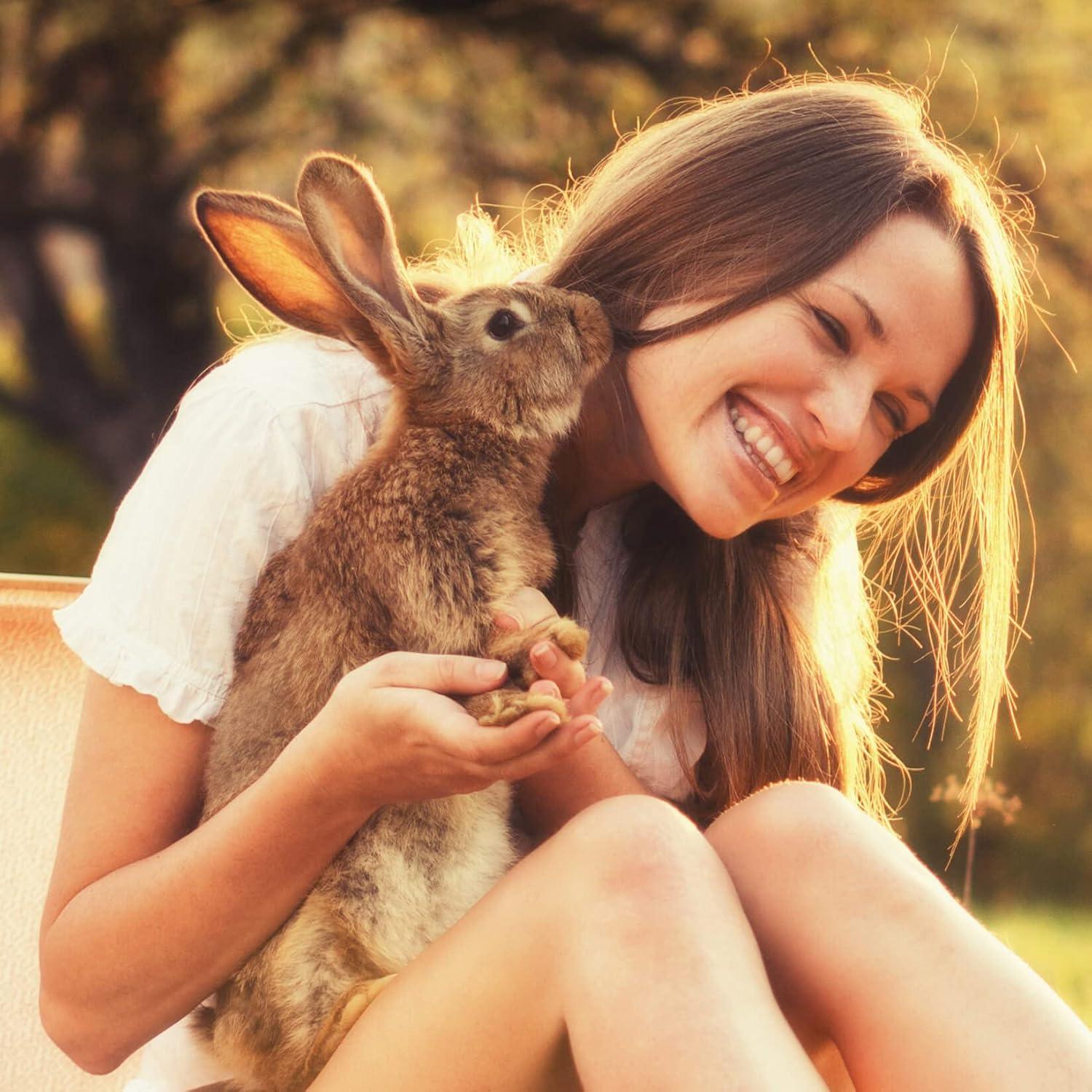 Tabletas Digestivas Sherwood Pet Health Papaya 100 Unidades