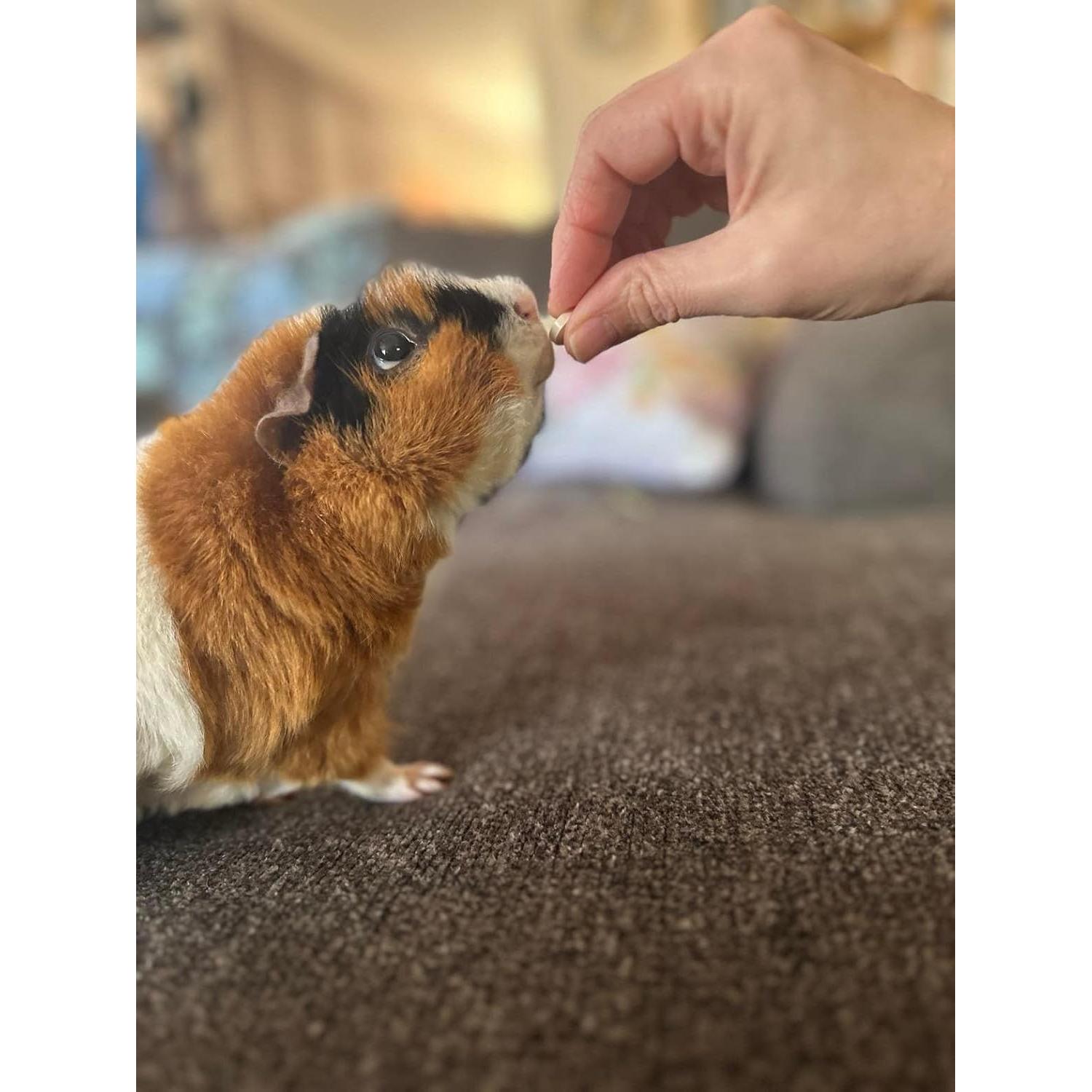 Tabletas Digestivas Sherwood Pet Health Papaya 100 Unidades