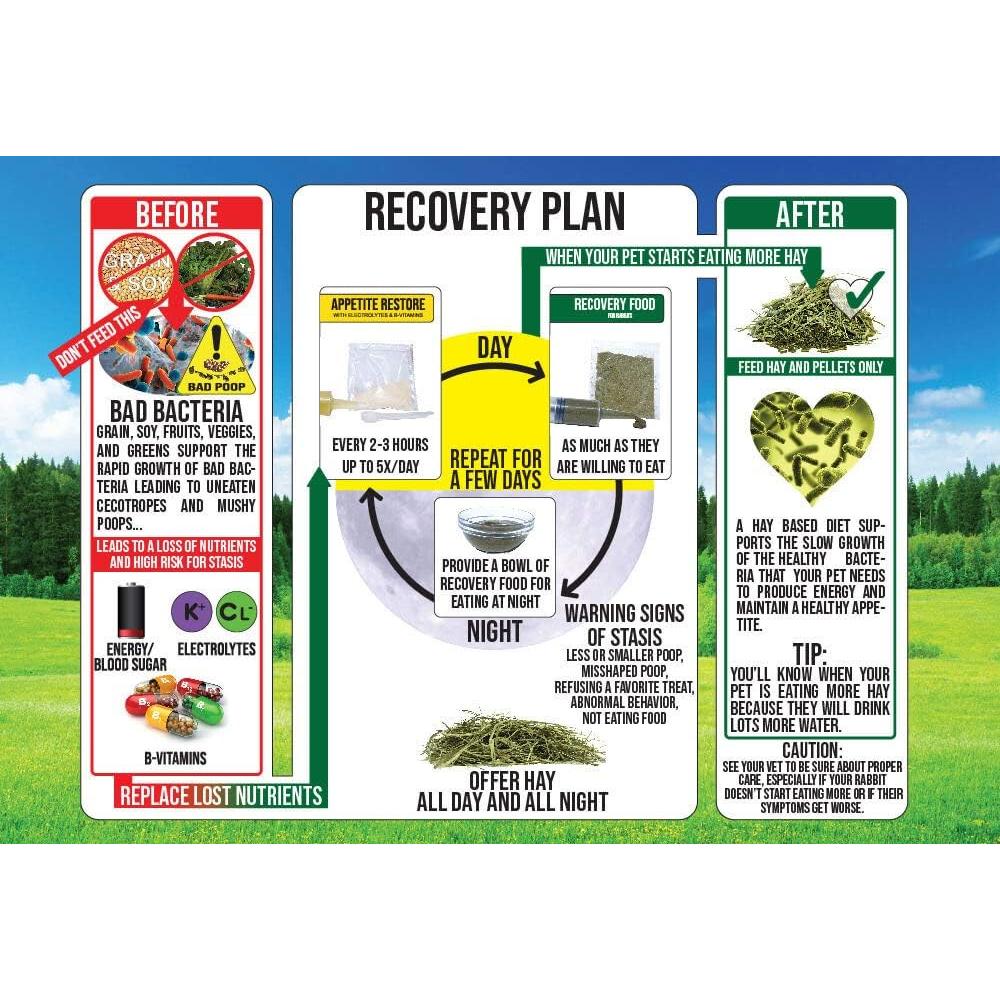 Kit de Emergencia para Conejos Sherwood 800g Comida