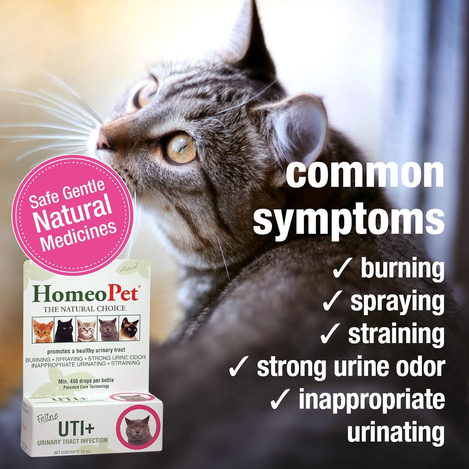 HomeoPet Feline UTI Plus 15ml - Suplemento Urinario Gatos