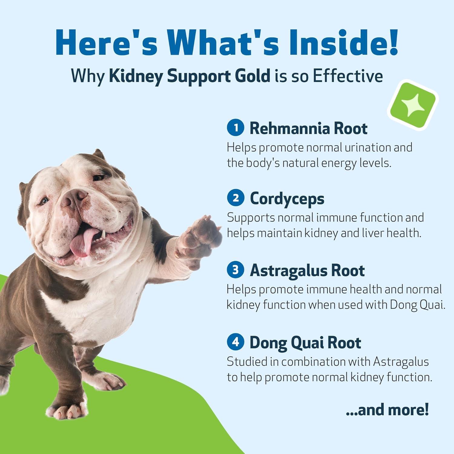 Suplemento Herbal Pet Wellbeing Apoyo Renal 59 ml
