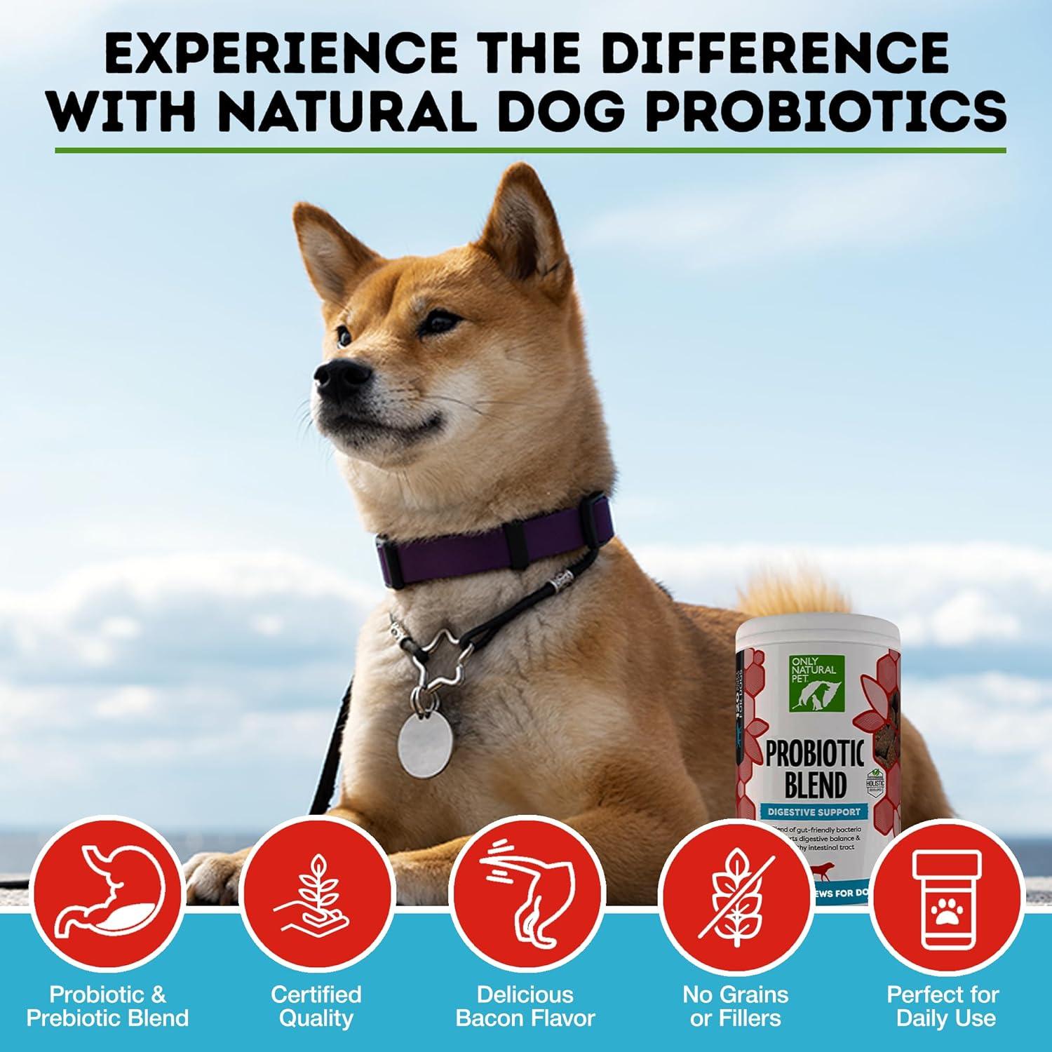 Suplemento Probiótico para Perros y Gatos Only Natural Pet - 120 Masticables Digestivos