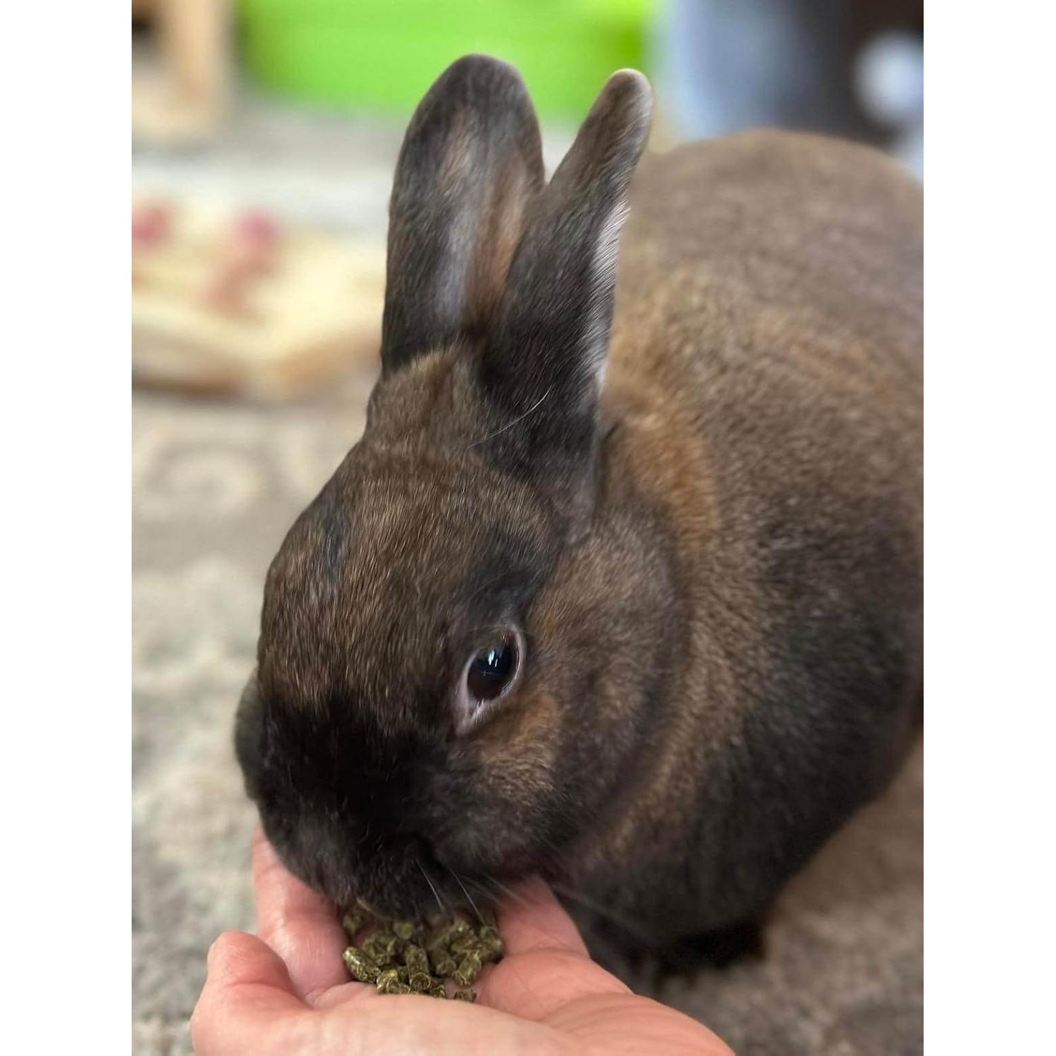 Alimento para Conejos Adultos Sherwood 2,04 kg Sin Granos