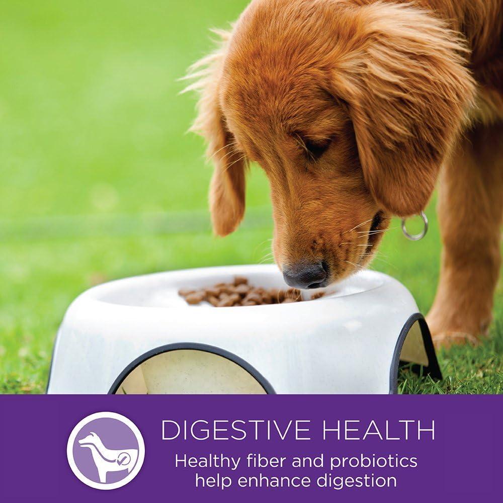 Comida Seca para Perros Wellness 4 Libras Pavo y Avena