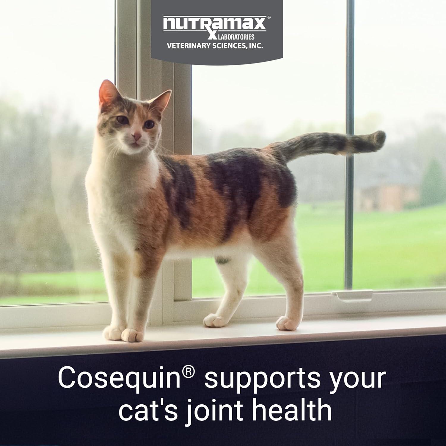 Suplemento Articular Cosequin para Gatos Nutramax 80 Cápsulas