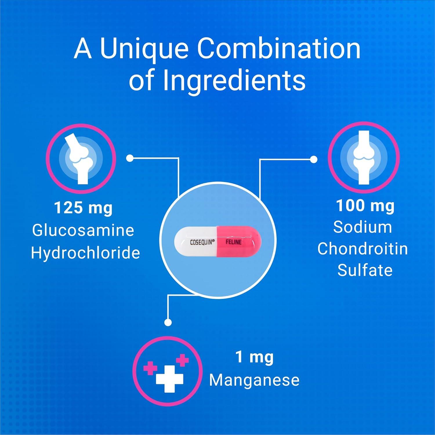 Suplemento Articular Cosequin para Gatos Nutramax 80 Cápsulas