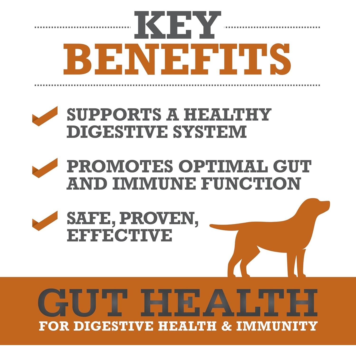 Suplemento Salud Intestinal para Perros WINPRO - 60 Chews