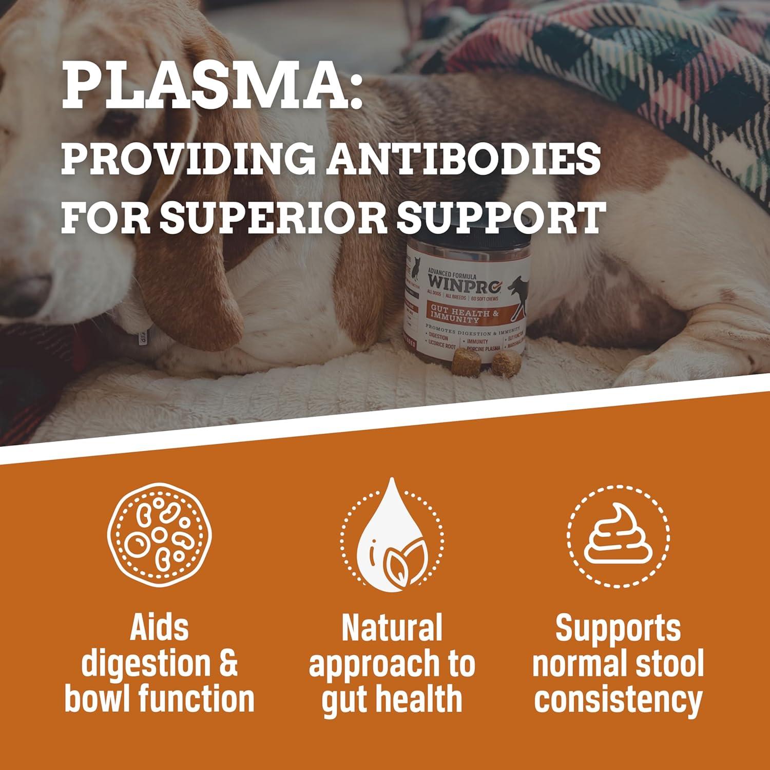 Suplemento Salud Intestinal para Perros WINPRO - 60 Chews