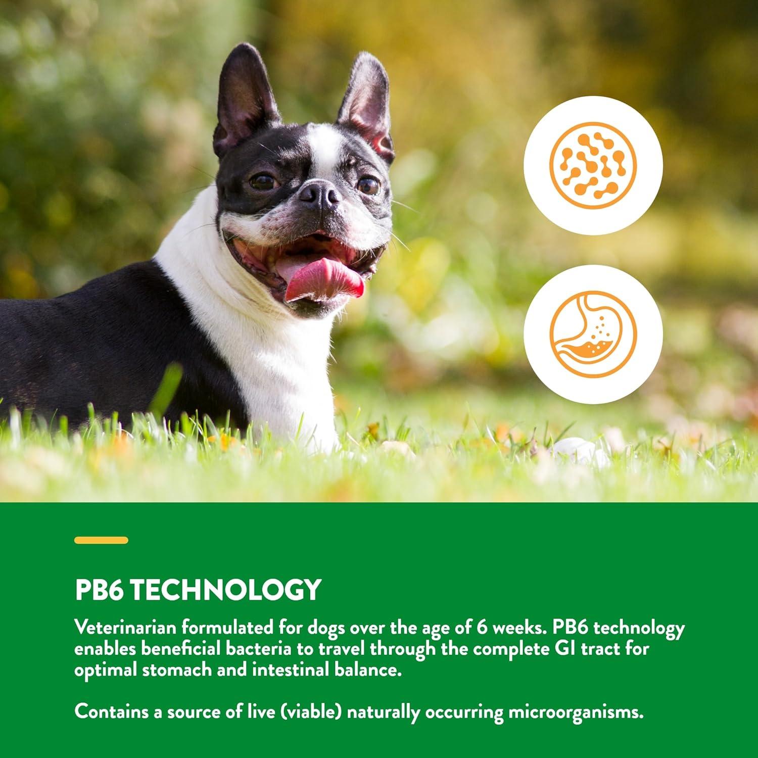 Suplemento Probioticos y Enzimas NaturVet 70 Golosinas