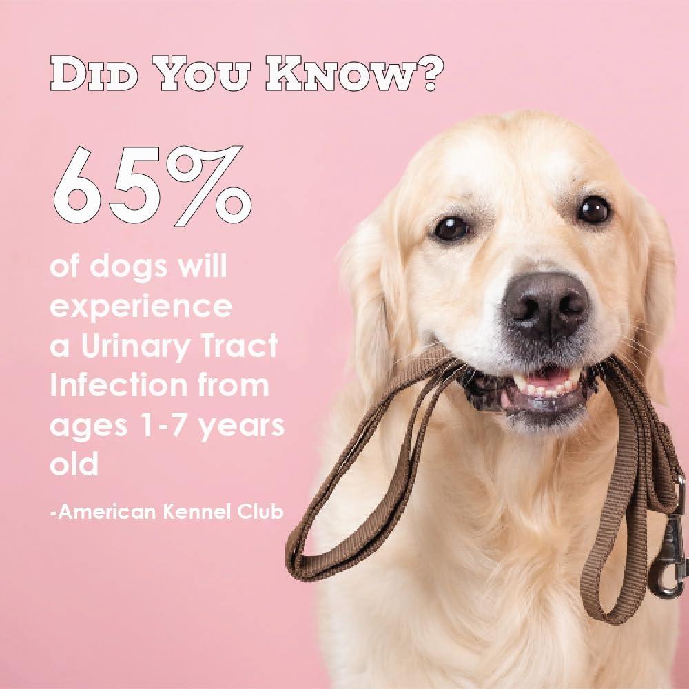 Suplemento D-Mannosa Arándano 120 Masticables para Gatos y Perros