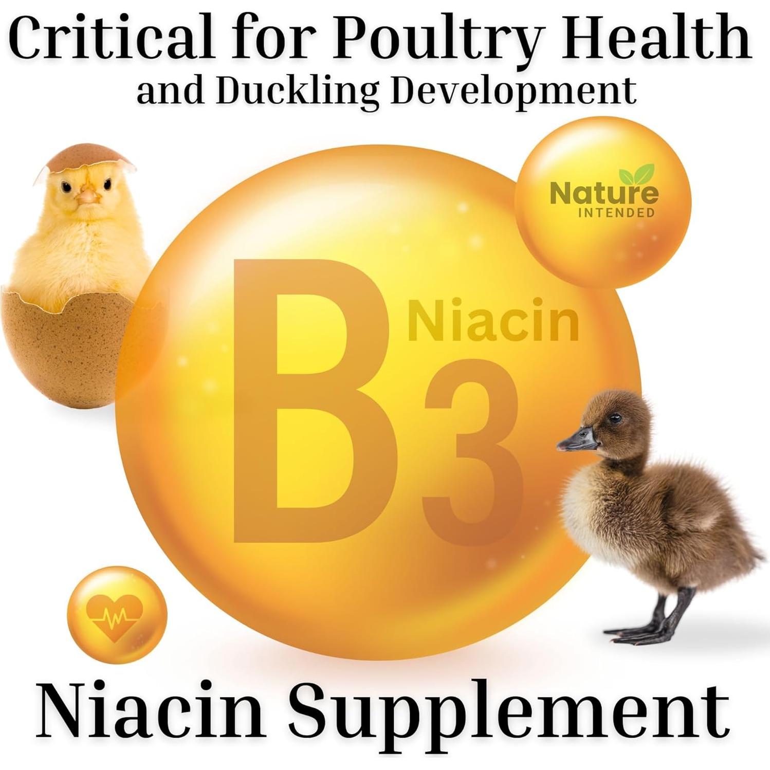 Suplemento Levadura de Cerveza Nature INTENDED 567 g