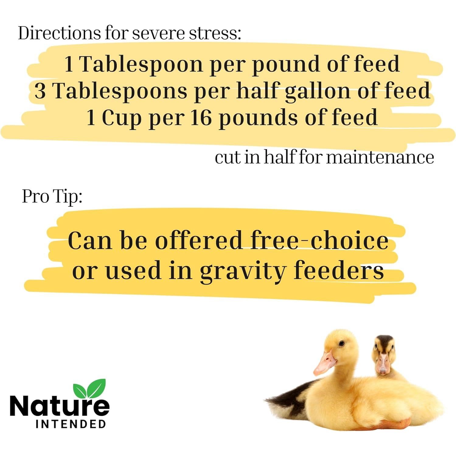 Suplemento Levadura de Cerveza Nature INTENDED 567 g