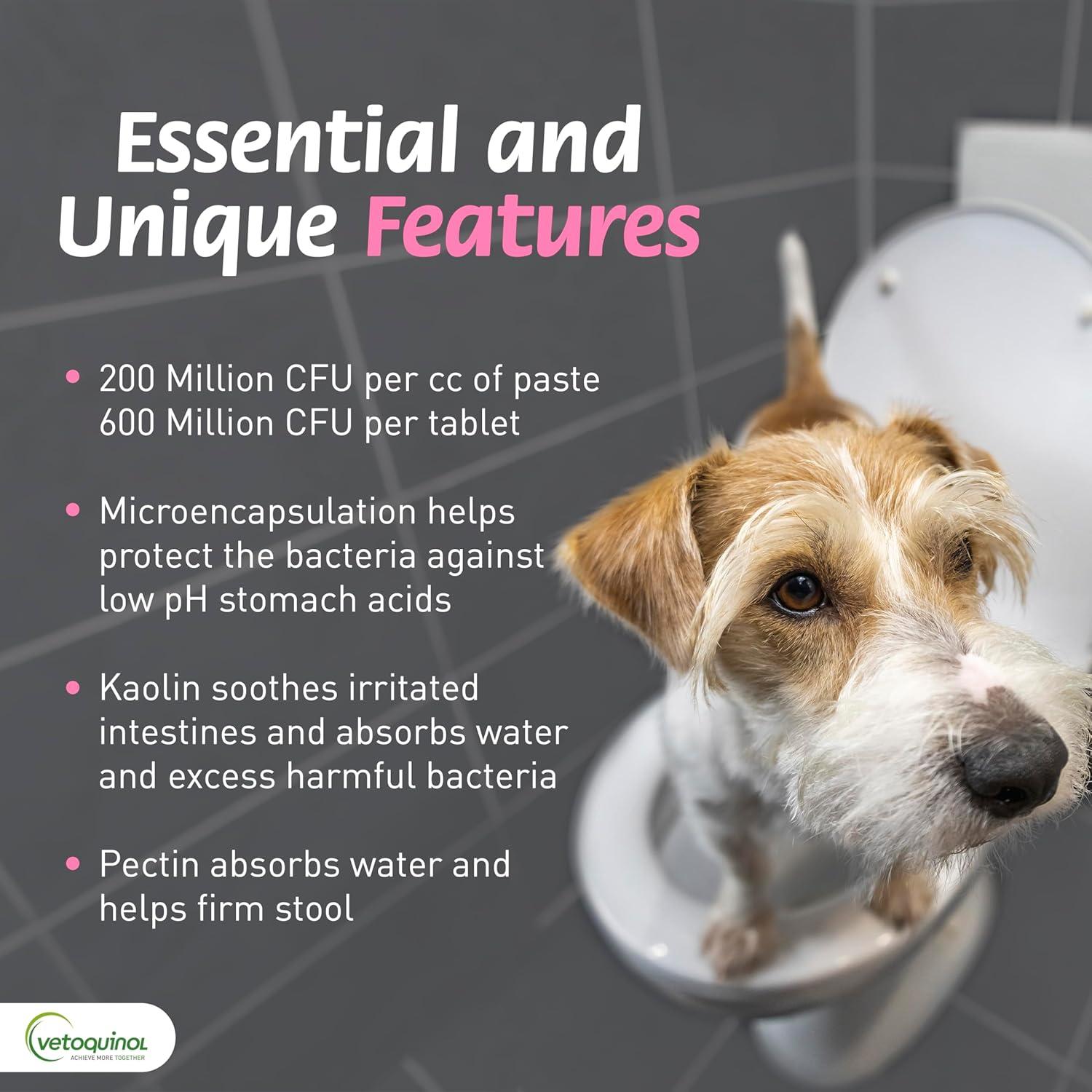 Pasta Oral Pro-Pectalin Vetoquinol 30cc para Perros y Gatos