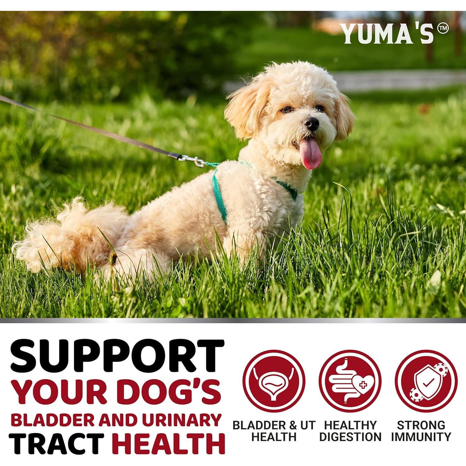 Suplemento Urinario para Perros YUMA'S 170 Golosinas