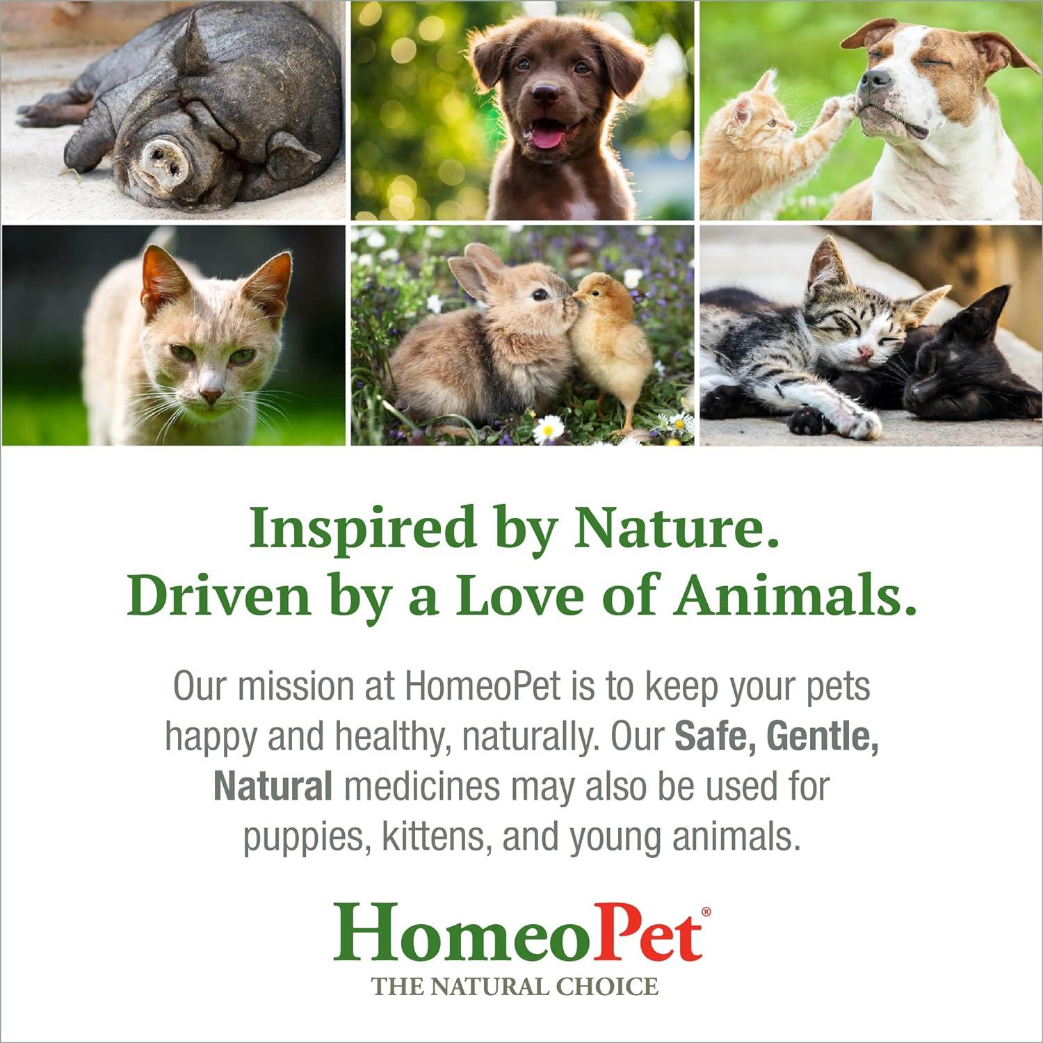HomeoPet Alivio Nasal para Gatos 15 ml - Suplemento Natural