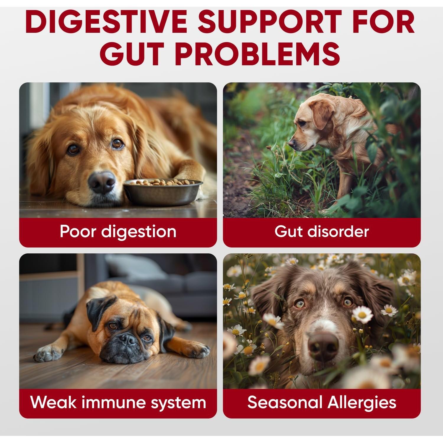 Masticables Probioticos Pawzitive Pets 120 Unidades Salud Digestiva