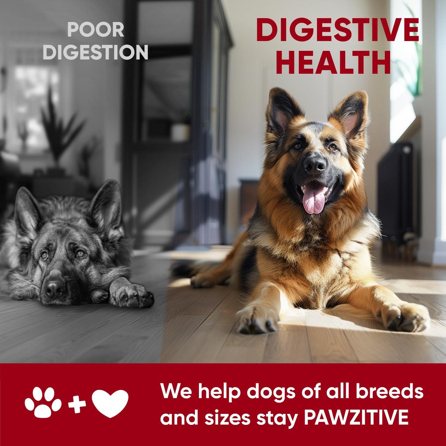 Masticables Probioticos Pawzitive Pets 120 Unidades Salud Digestiva
