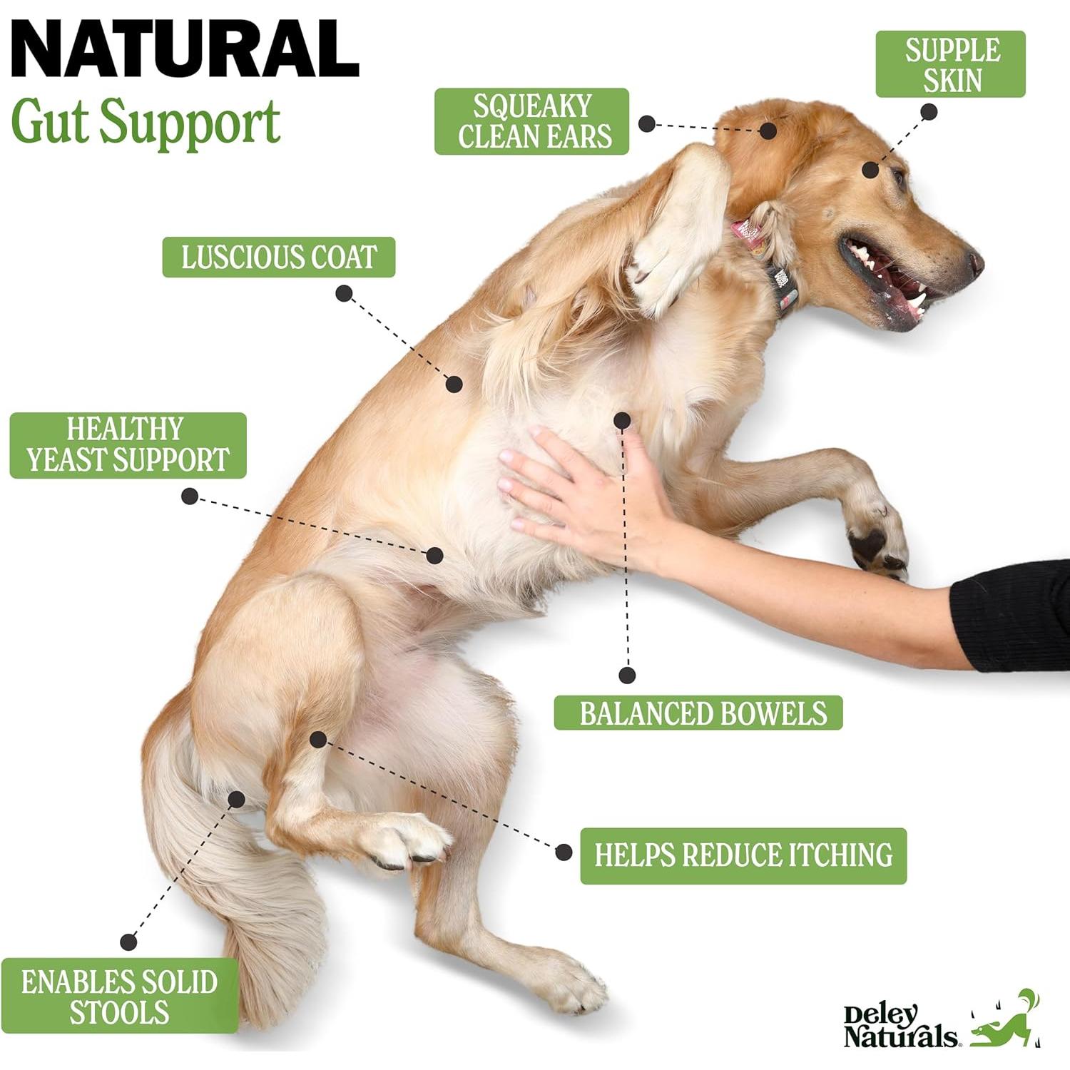 Probioticos Masticables Deley Naturals 120 Unidades Perros