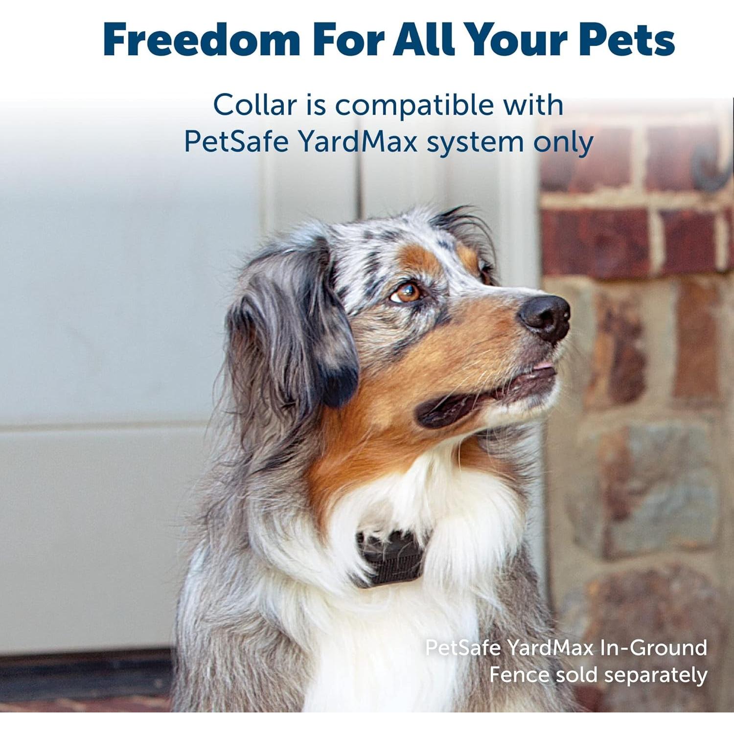 Collar Eléctrico PetSafe YardMax para Perros 2,27 kg+ Negro