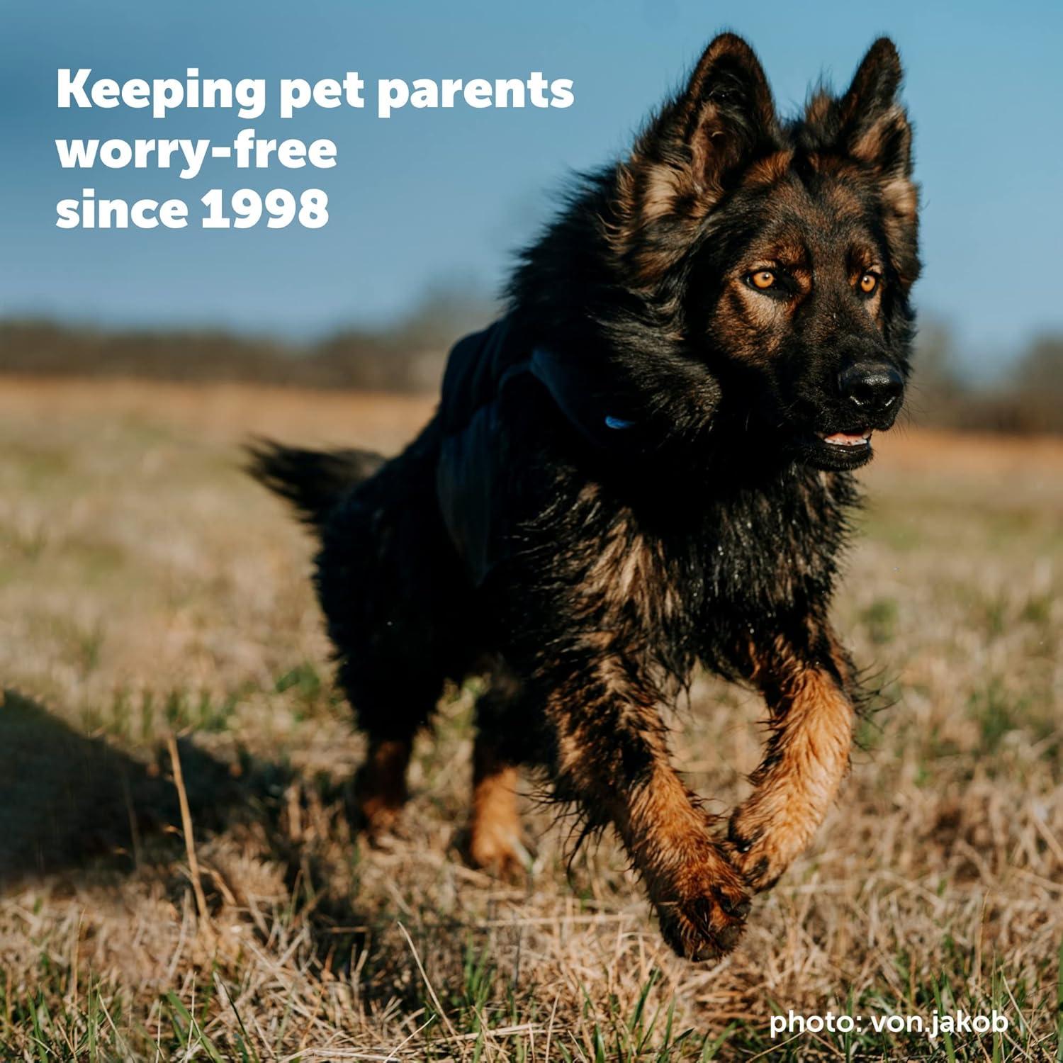 Collar Eléctrico PetSafe YardMax para Perros 2,27 kg+ Negro