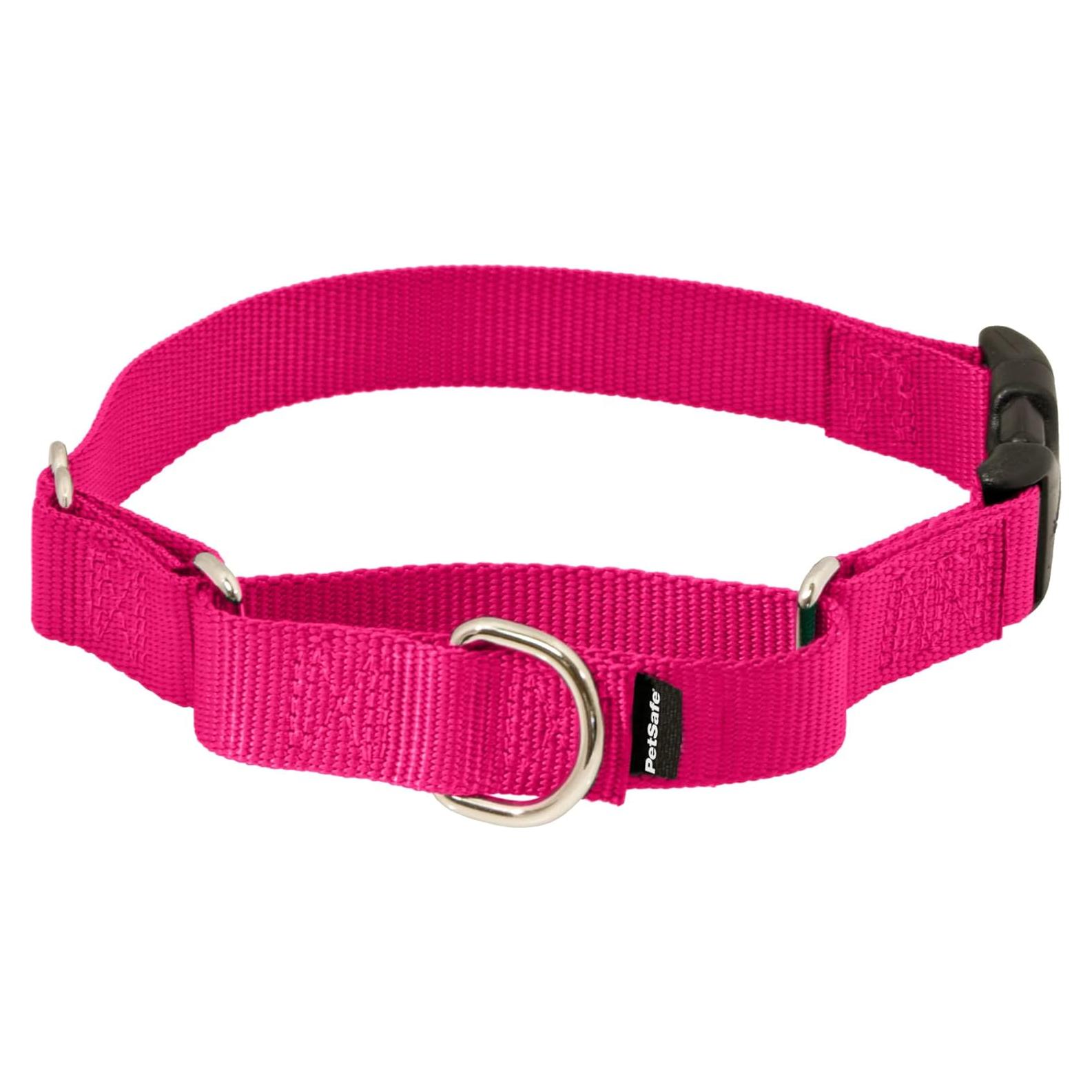 Collar Martingale PetSafe Mediano 2,54 cm Frambuesa