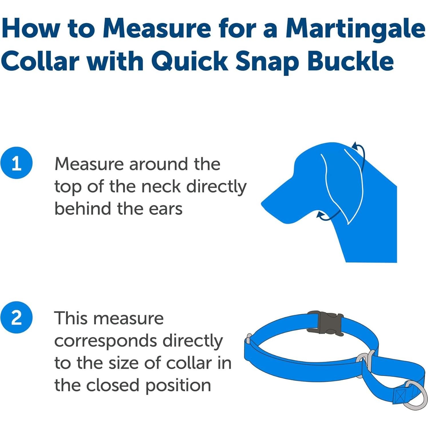 Collar Martingale PetSafe Mediano 2,54 cm Frambuesa